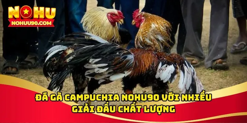 Đá gà Campuchia
