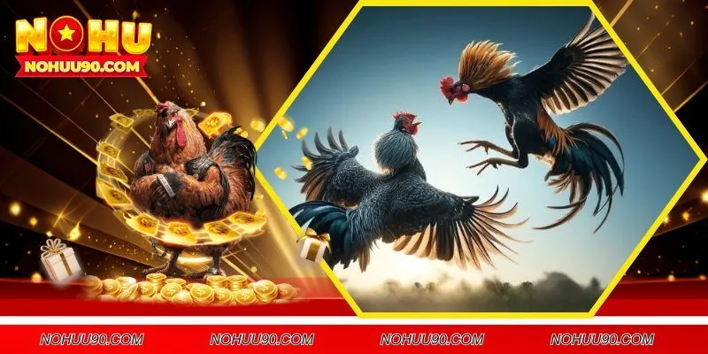 Một số lợi ích đặc biệt