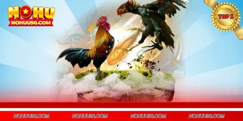 Tận hưởng cược đá gà đỉnh cao